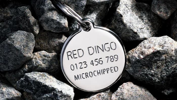 Close-up of the deep diamond engraving on a genuine Red Dingo pet ID tag